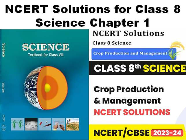 NCERT Solutions for Class 8 Science Chapter 1